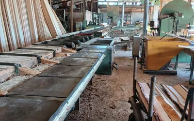 Au cœur du savoir-faire local : la scierie de Cazères
