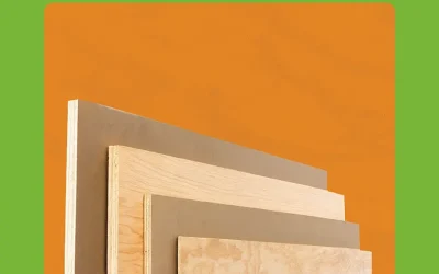 Panneaux bois : qualité, choix & découpes sur mesure chez Daussion Bois