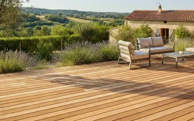 Terrasse en robinier : le bois durable et local par excellence