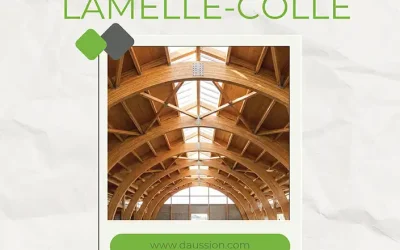 Lamelle-collé : votre charpente commence par le bon bois. Daussion Bois à Toulouse