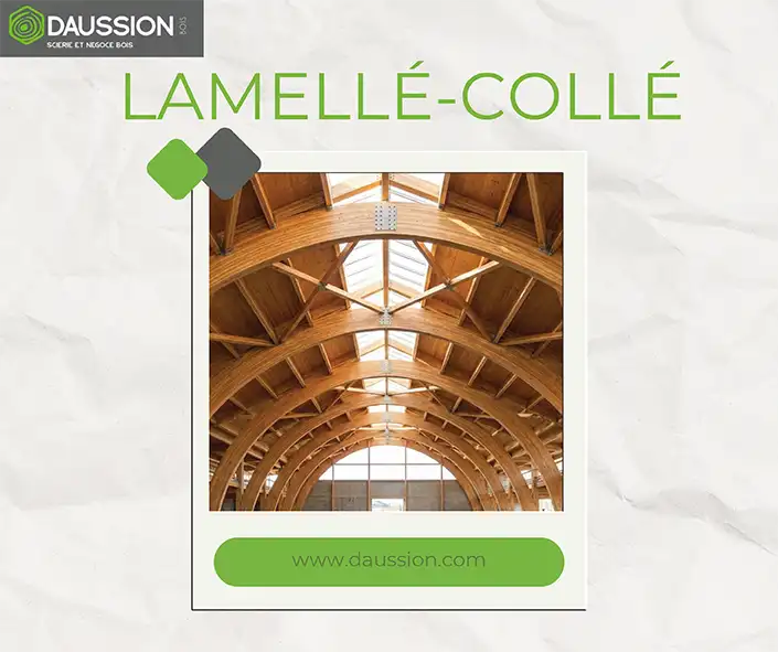 lamellé collé daussion bois