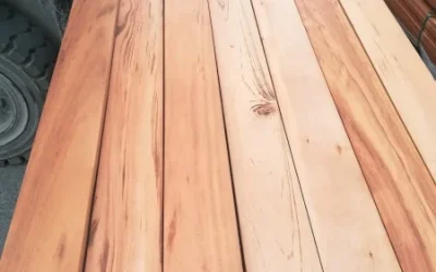 Daussion Bois, la rentrée commerciale est lancée ! Bois d&rsquo;ossature, charpente, terrasse…